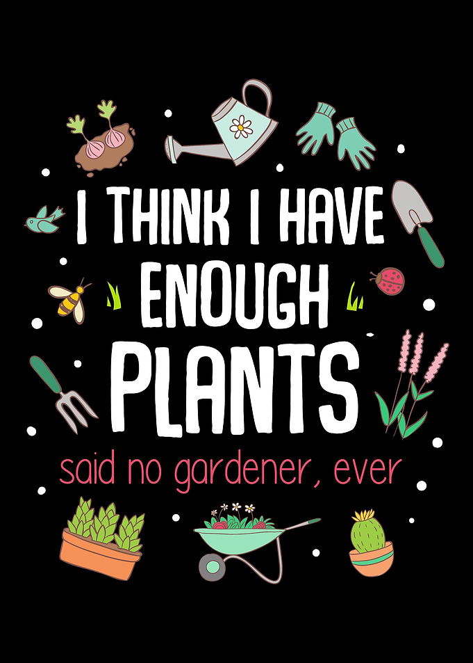 Enough Plants Fun Garden