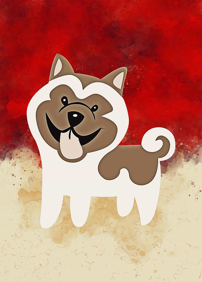 Akita