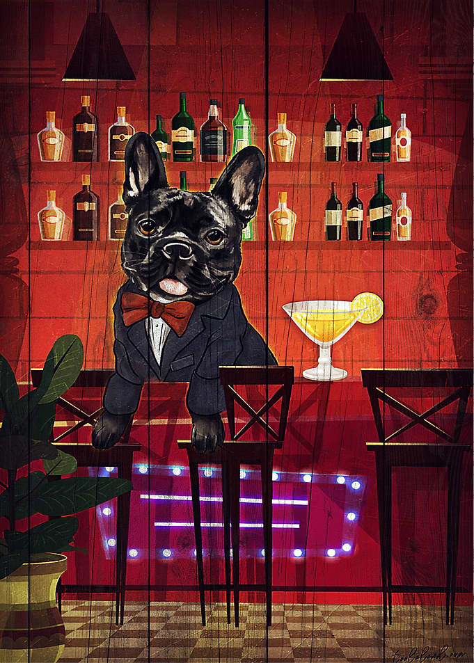 French Bulldog