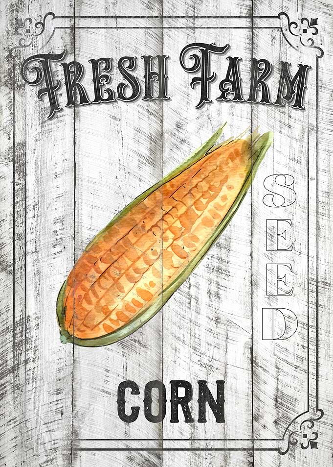 Corn