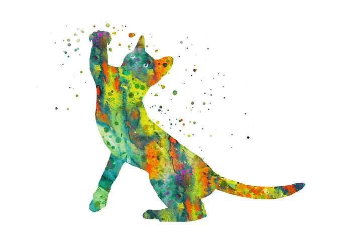 Playing cat