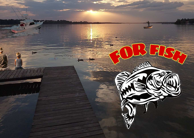 For fish
