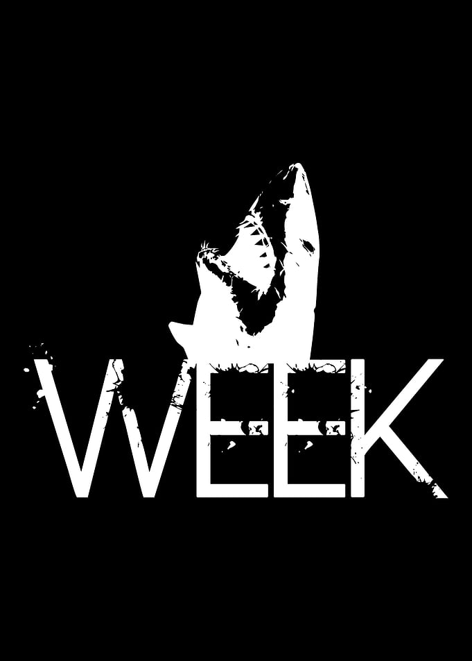 Week Shark