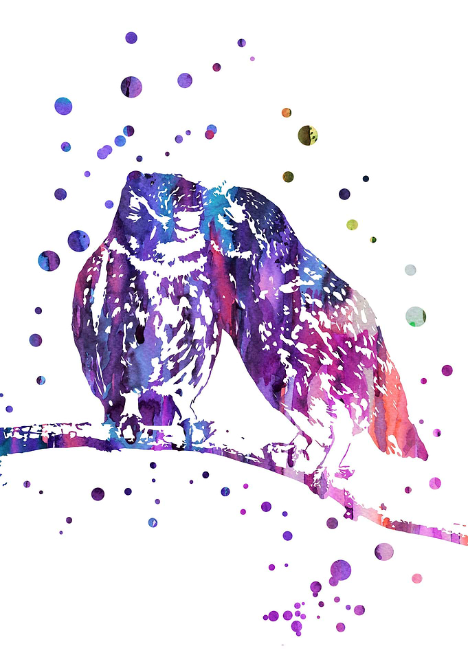 Owl in love