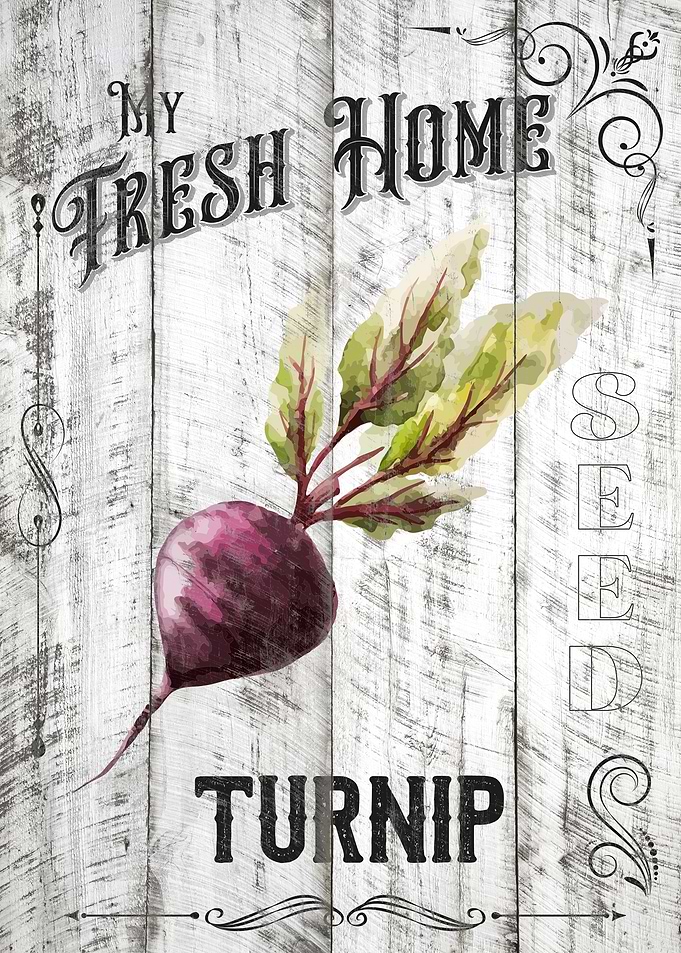 Turnip