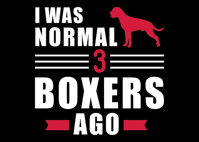 Boxer
