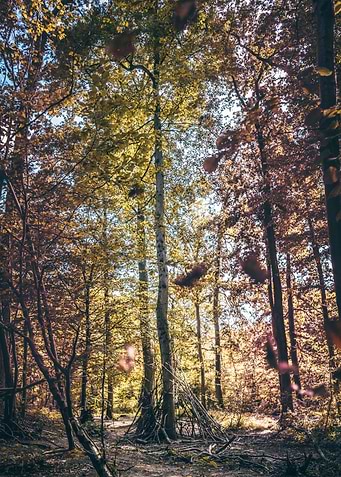 Automne