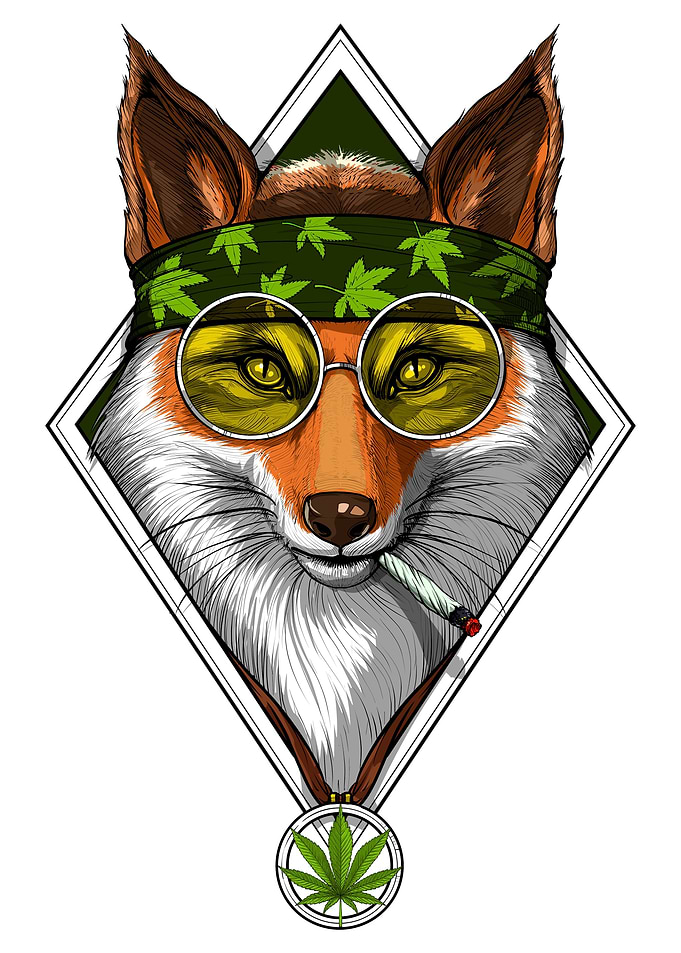 Fox Hippie Smoking Weed
