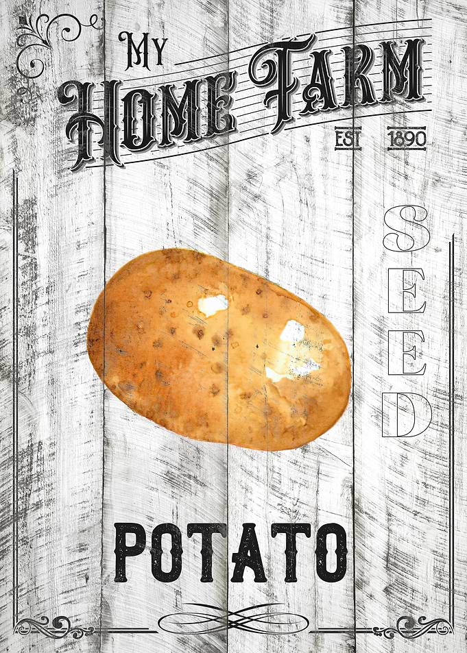 Potato
