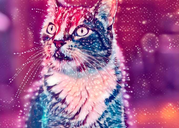 Trippykitty