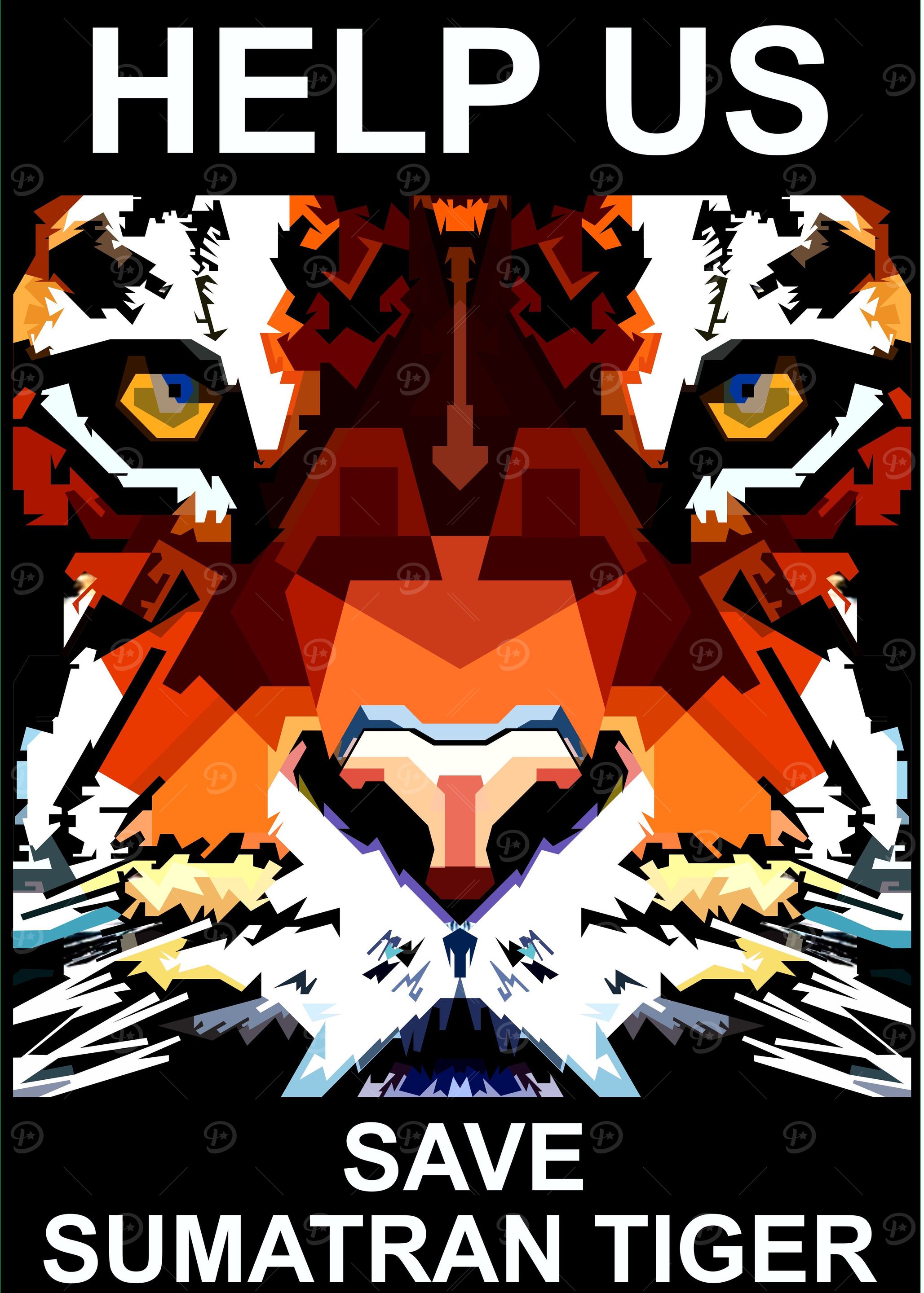 Sumatran Tiger