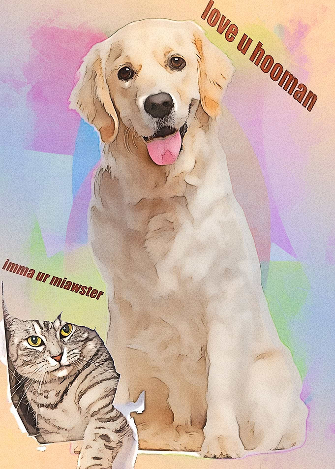 Donggo And Miawster