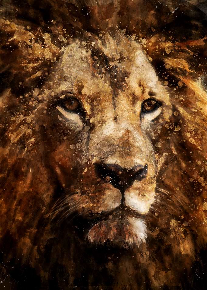 Lion Watercolor