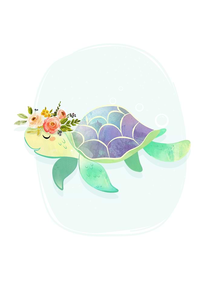 Cute Sea Turtle
