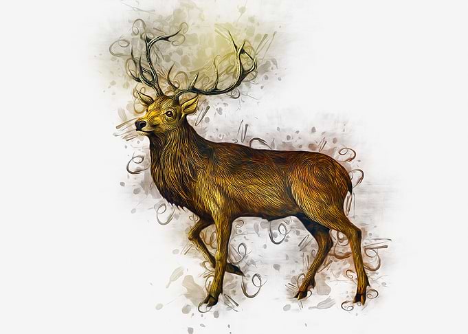 Deer Art