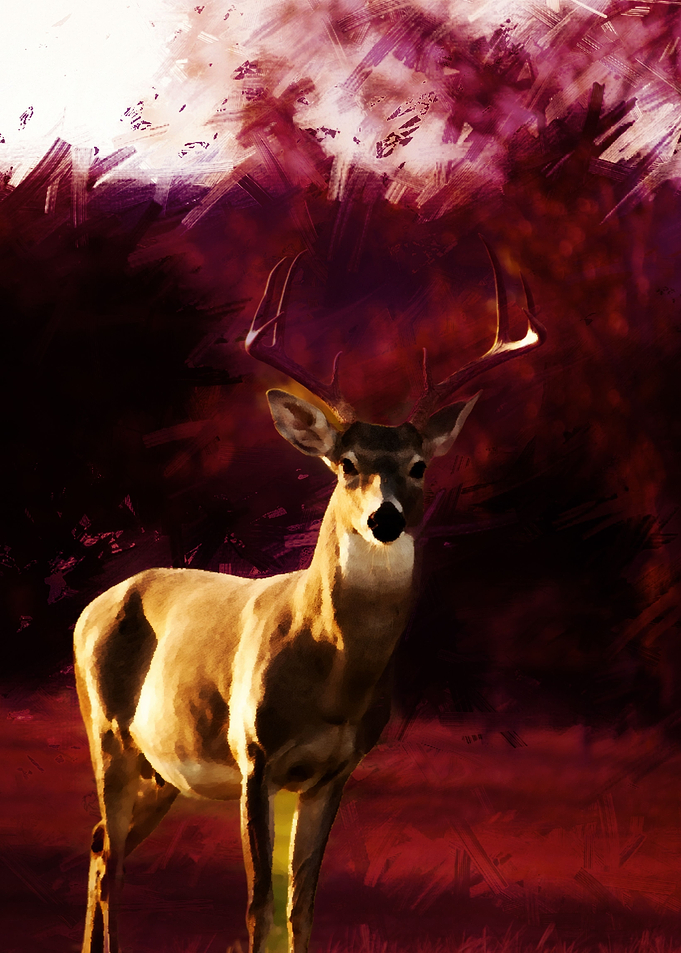 Deer with Antlers