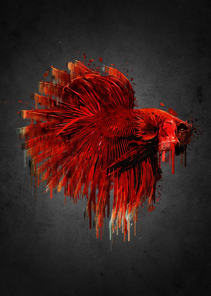 Red Fish