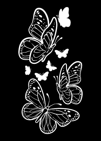 Butterfly Nature Nature Lo