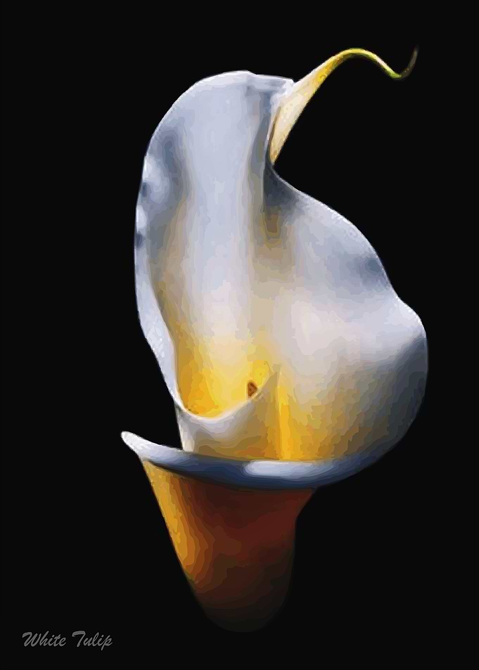 Beautiful Flower