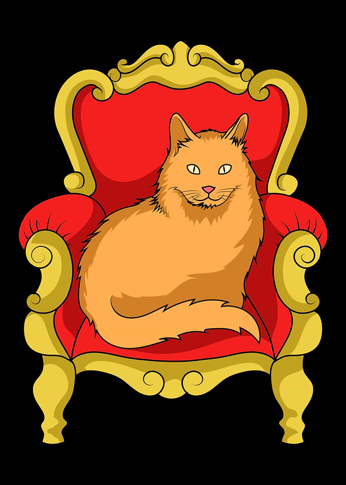 Cat Queen Enthusiast