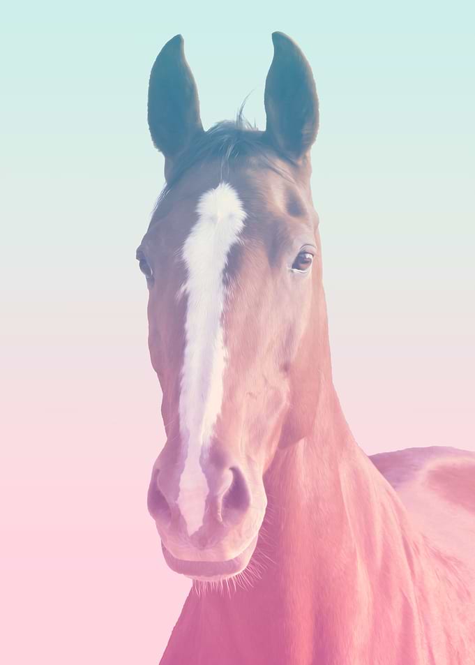 horses