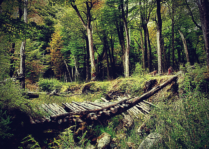 Landscape