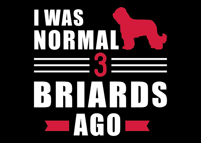 Briard