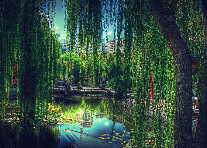 Landscape
