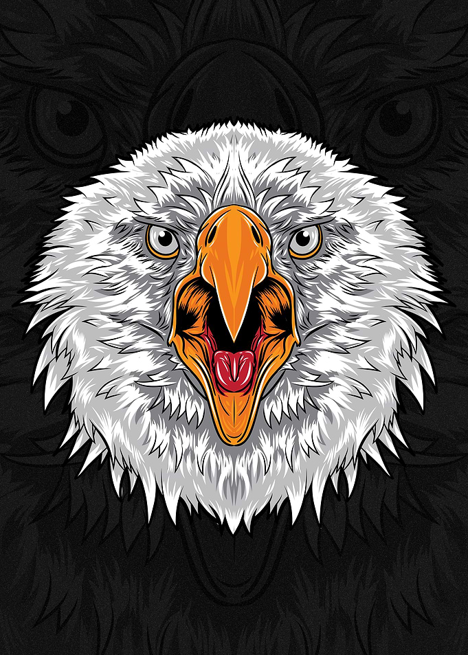 Eagle head