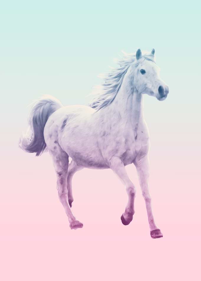 white horse