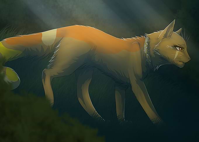 Animal fantasy