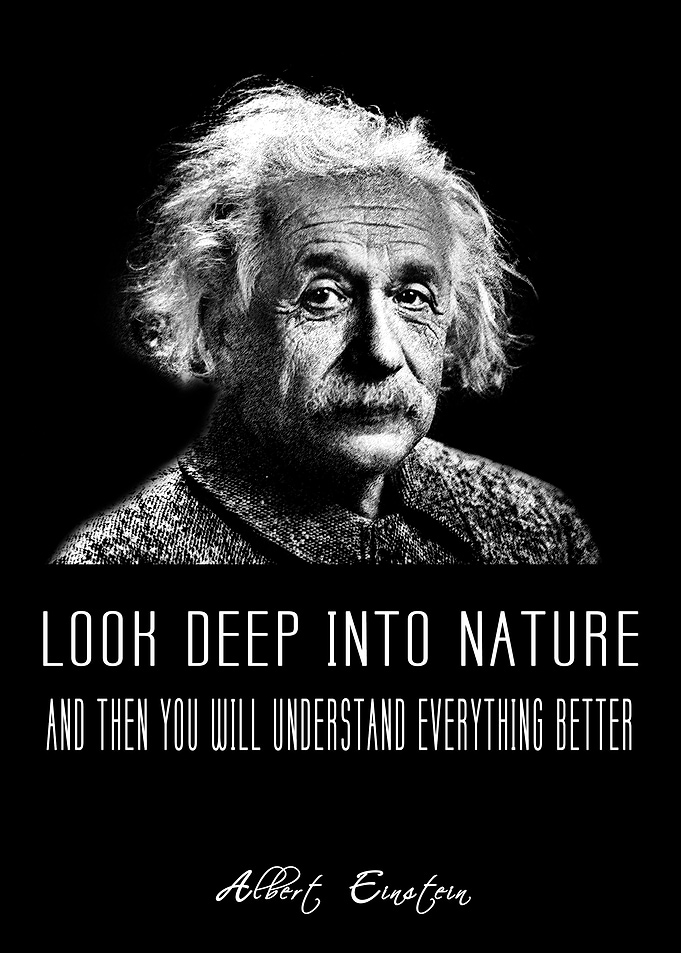 Albert Einstein