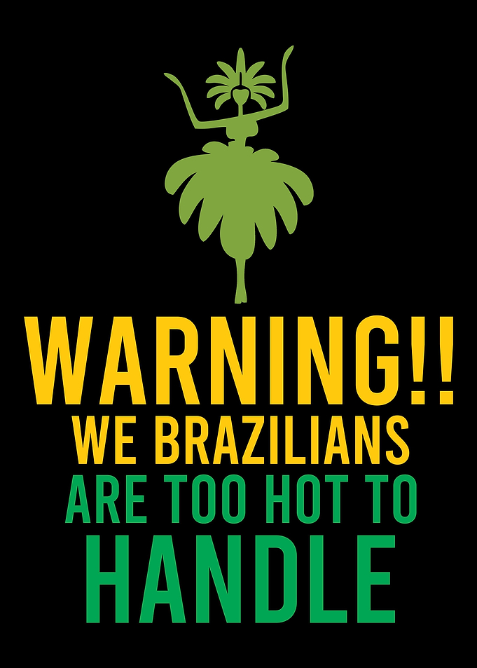 Brazil South America Portu
