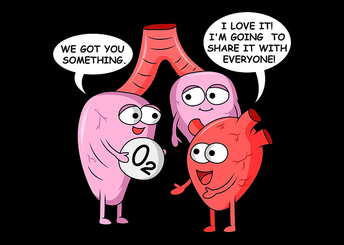 Funny Medicine Physician