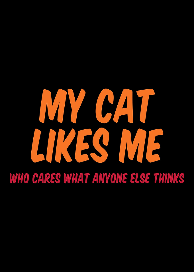 MY CAT LIKES ME WHO CARES