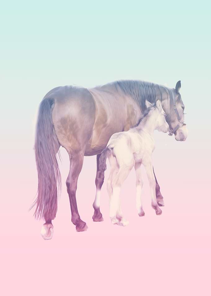 horses