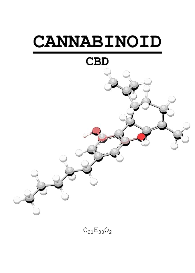 CBD