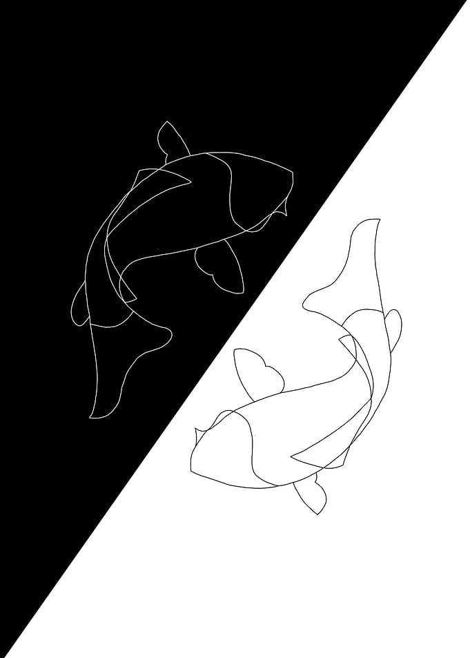 Koi YingYang
