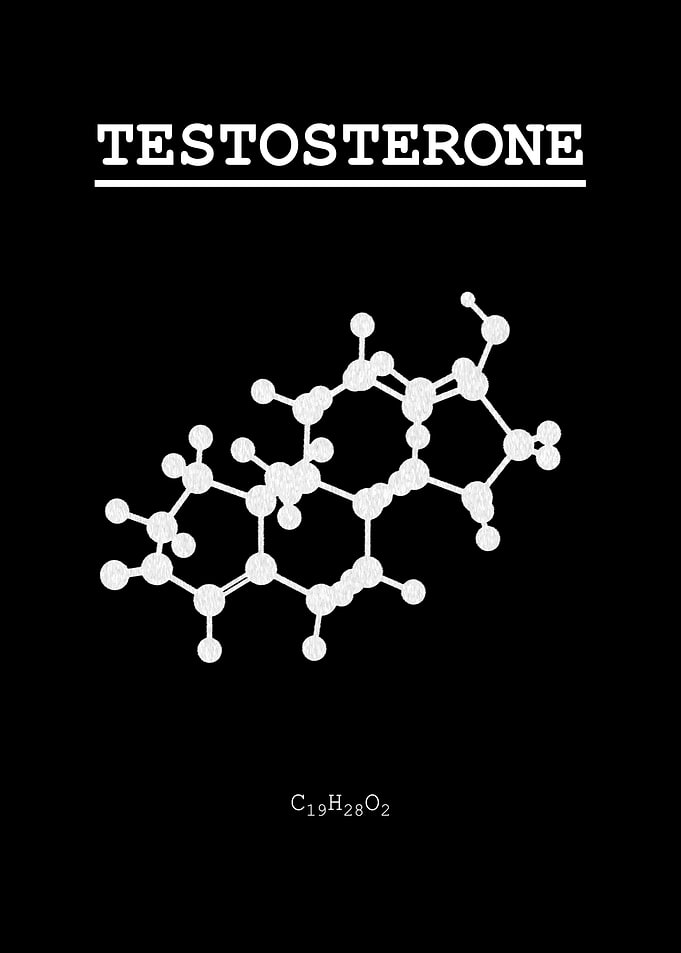 Testosterone
