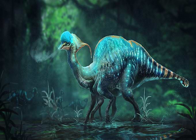 Animal fantasy