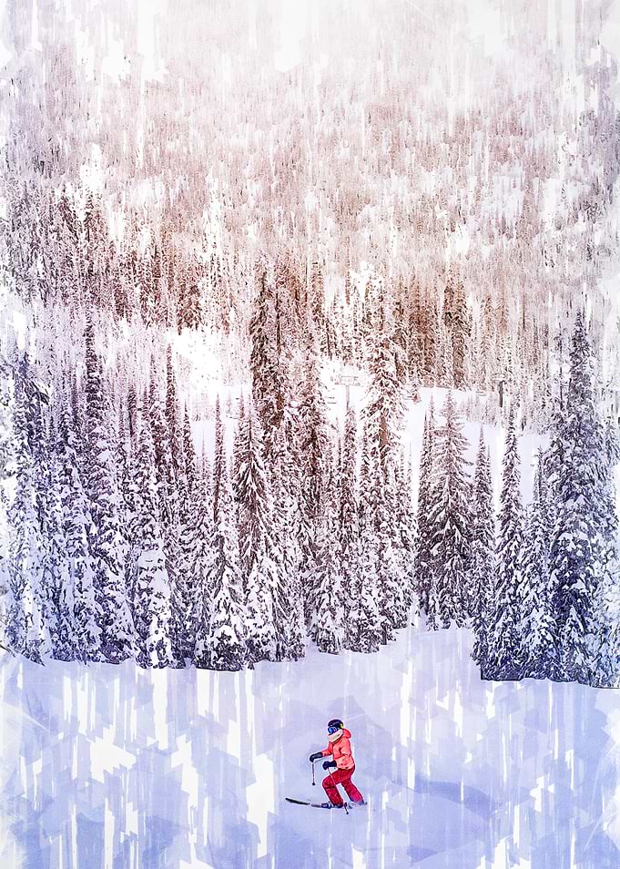 Skiing White Snow Forest
