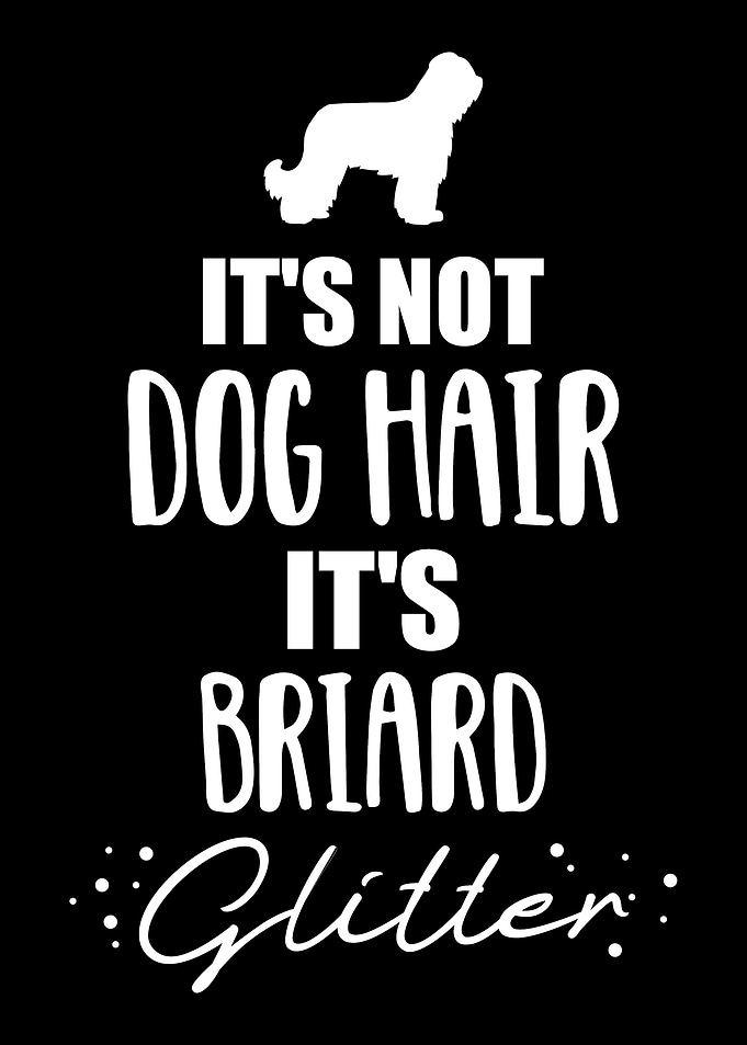 Briard