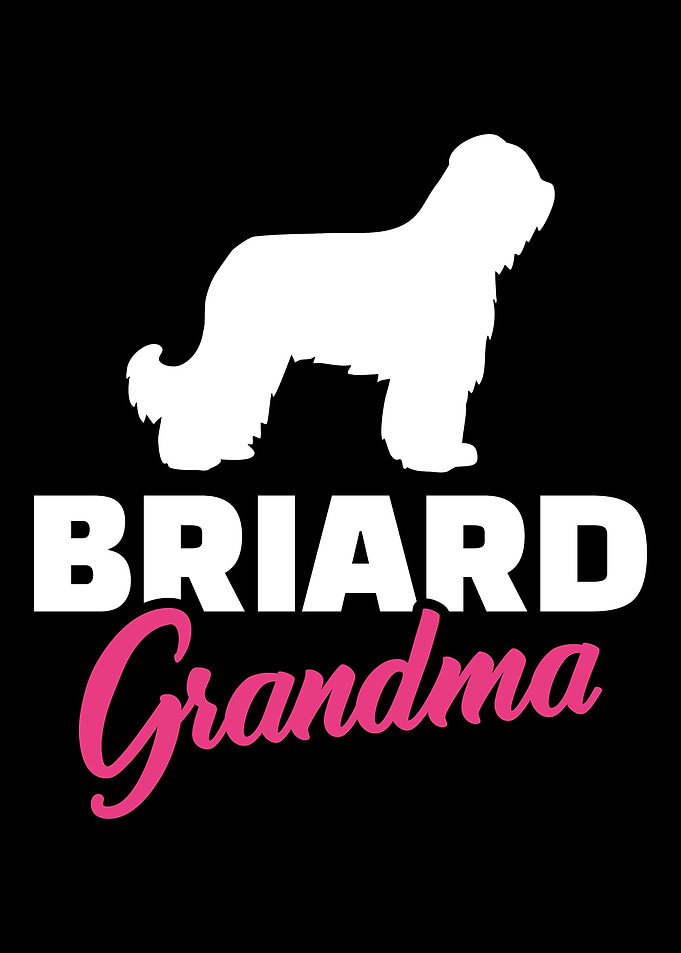 Briard