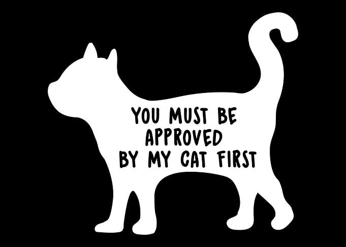 Shape Of A Cat Cat Owner