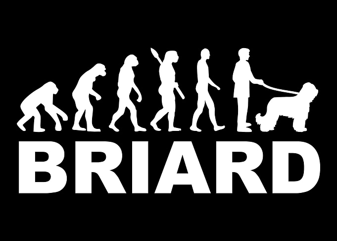 Briard