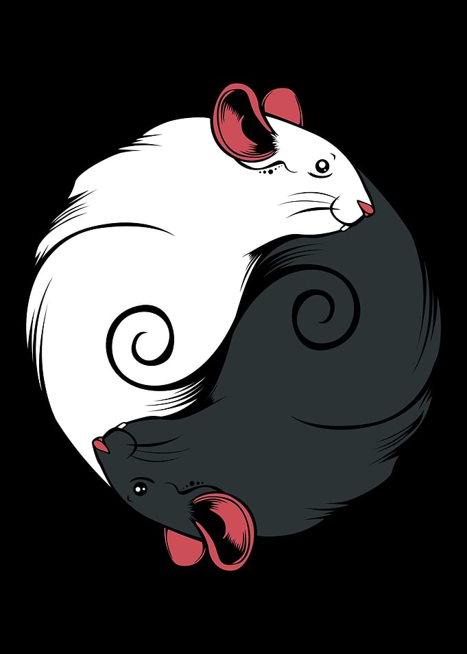 Yin Yang Rat 2020 Chinese