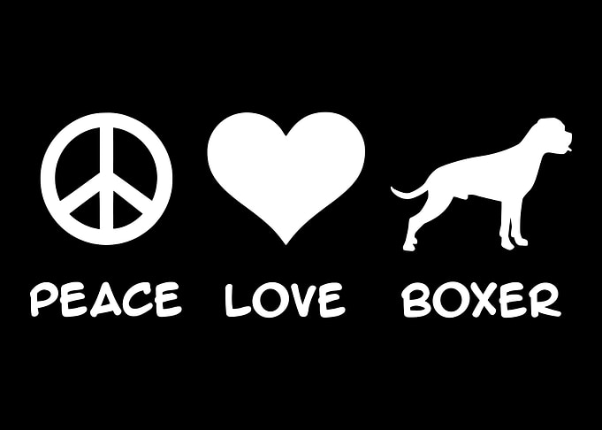 Boxer