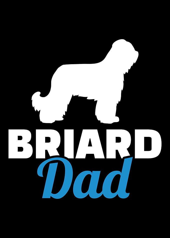 Briard