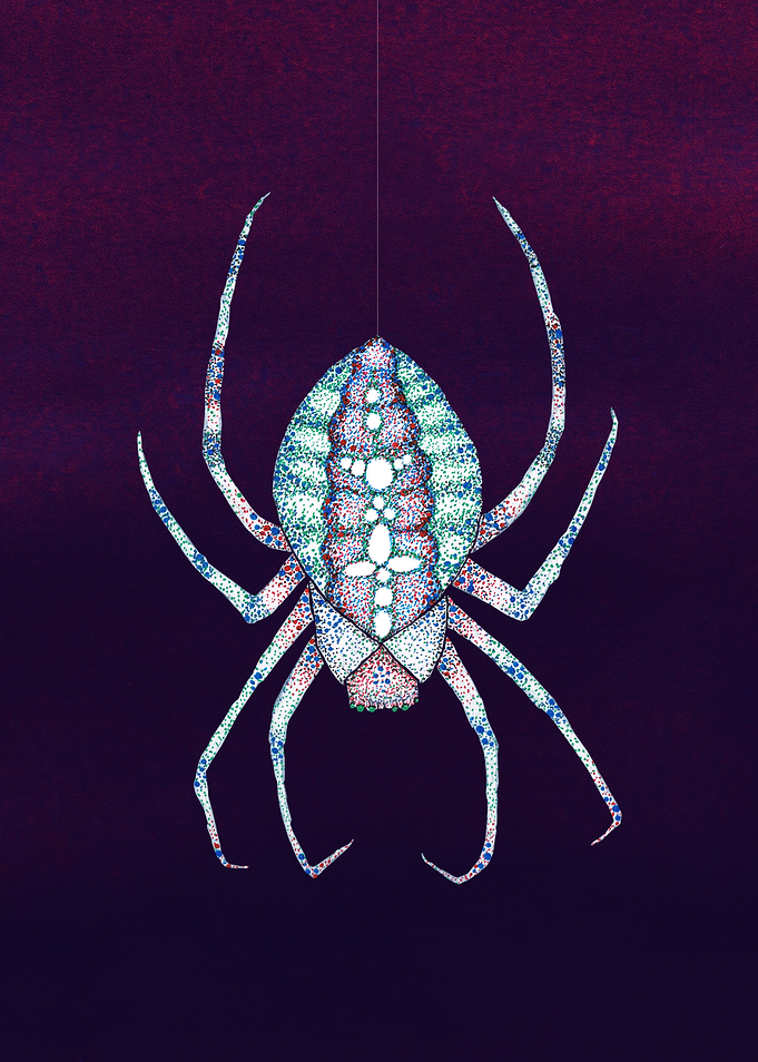 The white spider