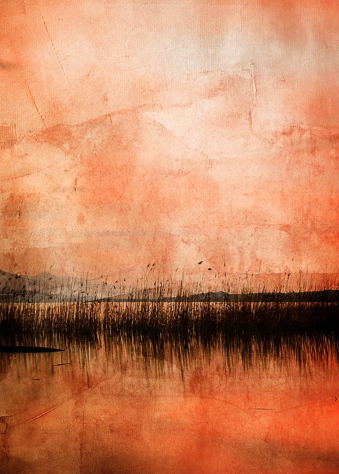 In the lake